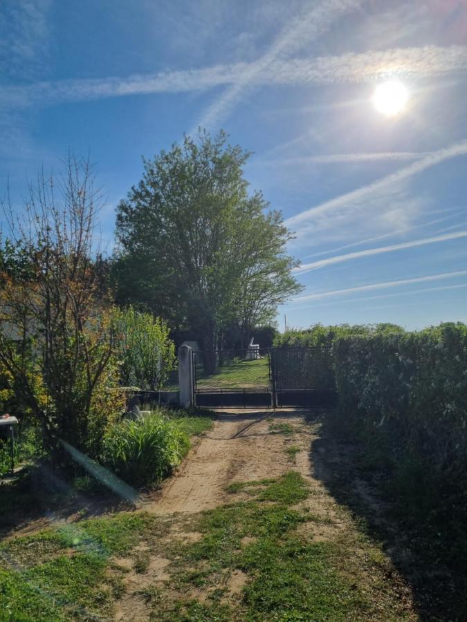 Les 3 Cedres Villa Miramont-de-Guyenne Eksteriør bilde